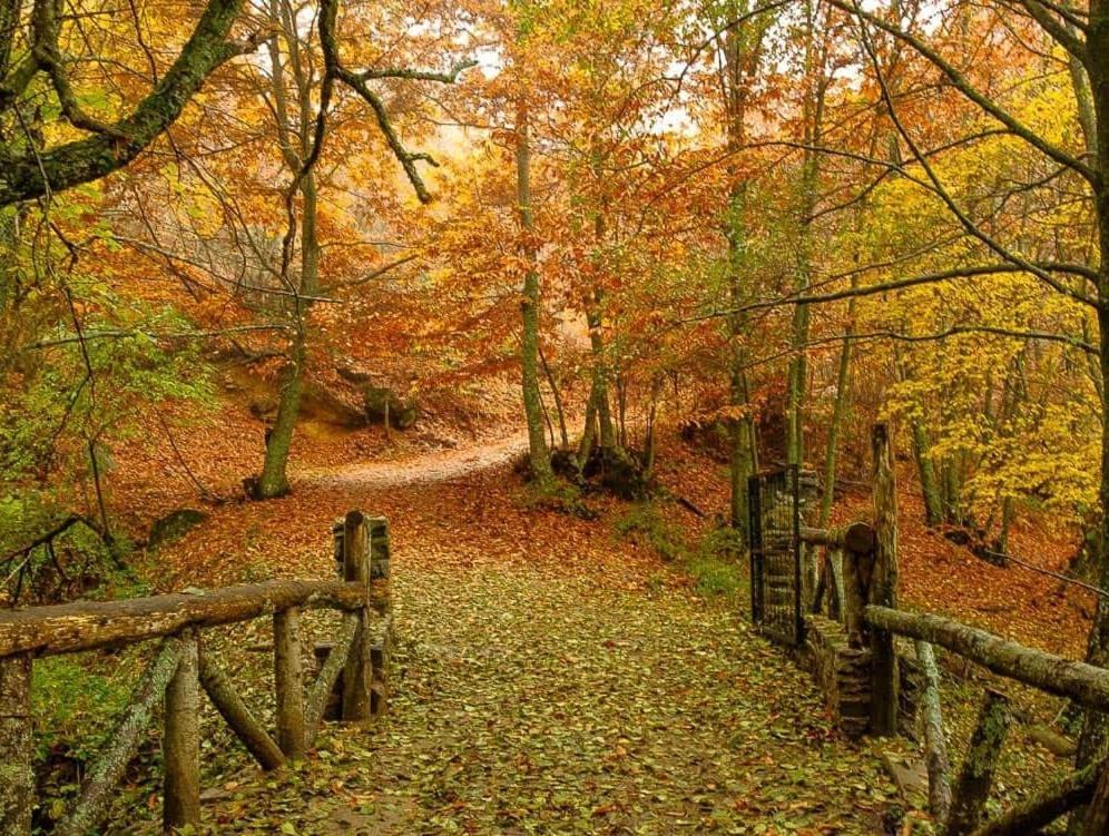Ruralrut En El Tiemblo Precios Especiales A Partir De 7 Noches, Wifi, Cabina De Hidromasaje, Aire Acondicionado, Zonas De Bano Naturales Cercanas Эль-Тьембло Экстерьер фото