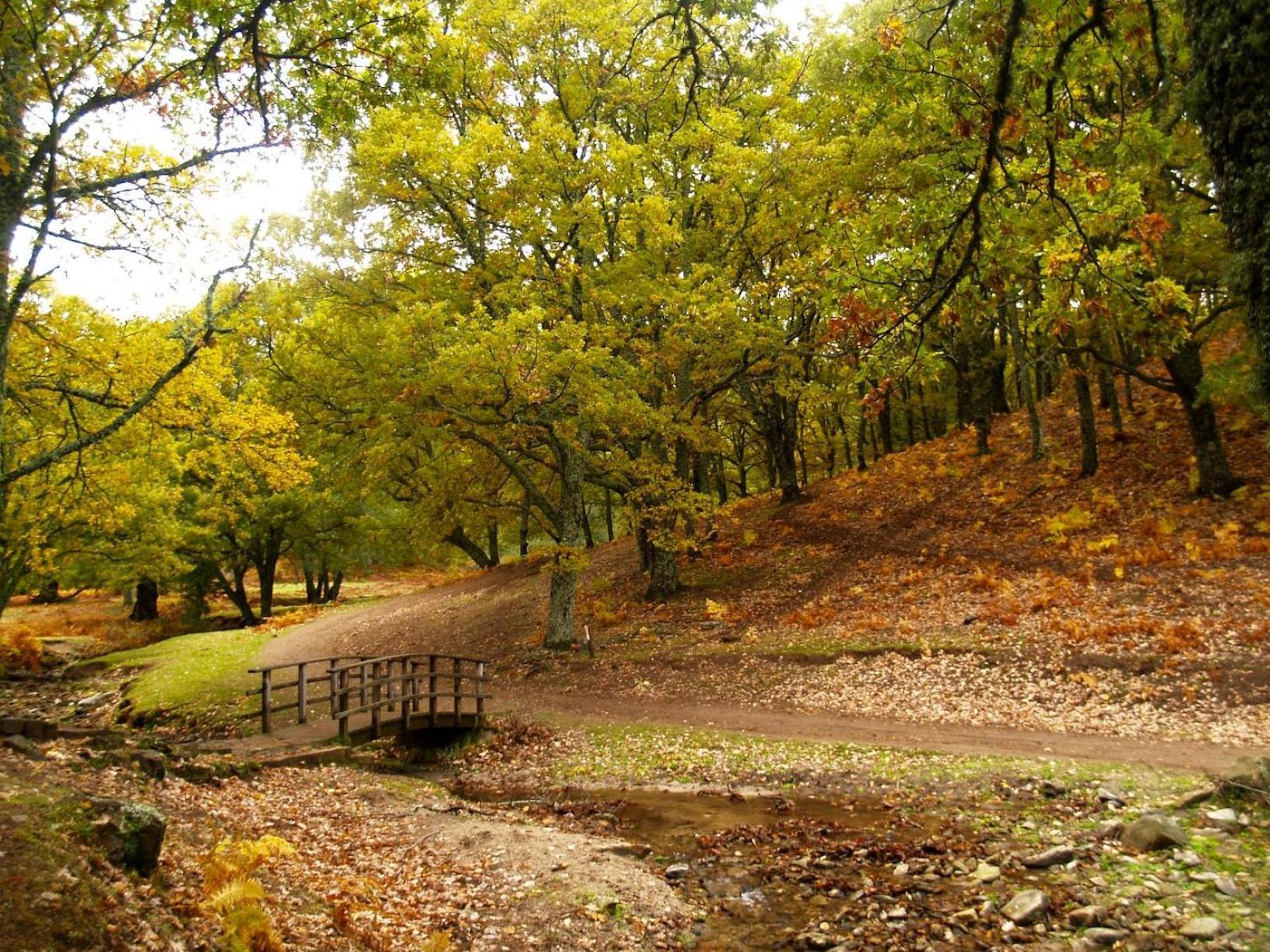 Ruralrut En El Tiemblo Precios Especiales A Partir De 7 Noches, Wifi, Cabina De Hidromasaje, Aire Acondicionado, Zonas De Bano Naturales Cercanas Эль-Тьембло Экстерьер фото